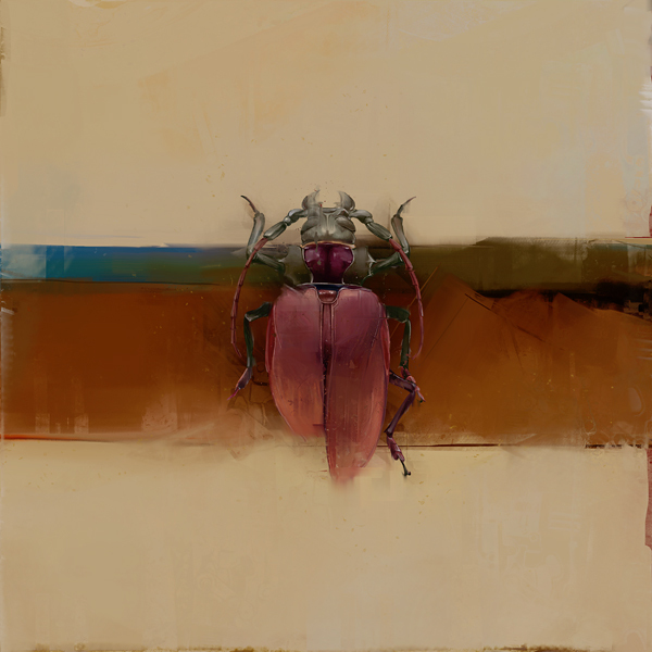 Beetles (2)