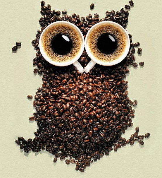 Coffee bean Owl