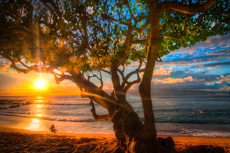 hawaii  powering by alierturk d55javi1 Soothe Your Soul: 45 Exotic Beach Photographs