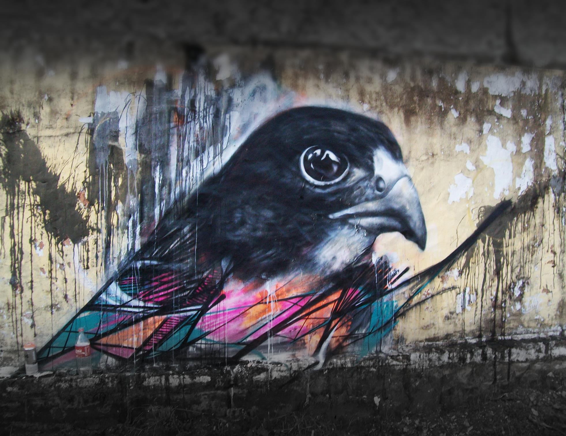 Graffiti Birds by Brazilian Artist L7M (1)