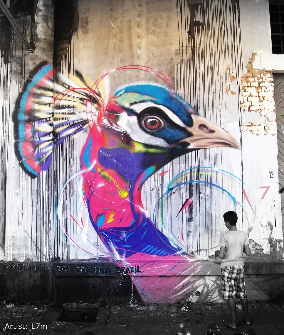 Graffiti Birds by Brazilian Artist L7M (2)