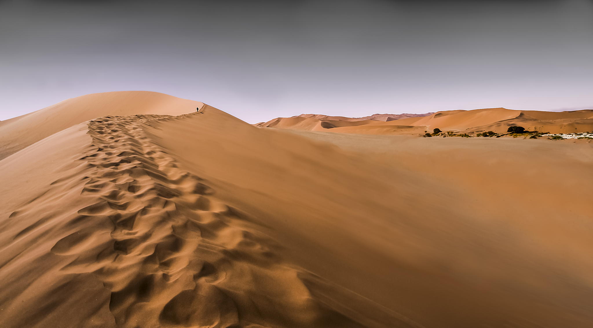 Résultat de recherche d'images pour "desert"